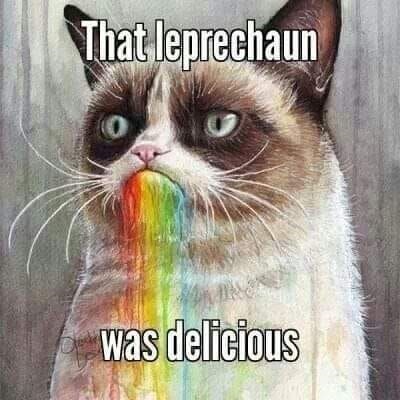 leprechaun caty.jpg